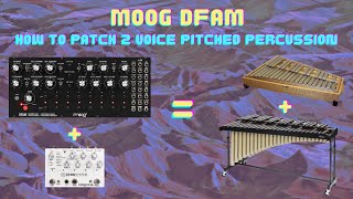 Patching 2 Voice Melodic Percussion on Moog DFAM | Instant Steve Reich Minimalism Vibes