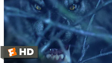 Van Helsing (2004) - Werewolf on the Loose Scene (1/10) | Movieclips