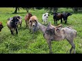 trabajos de campo #videos #post