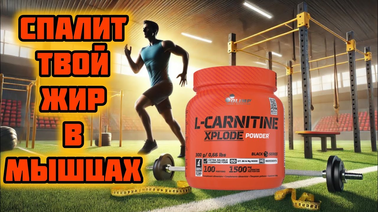 olimp l carnitine xplode L-Carnitine Xplode Powder от OLIMP