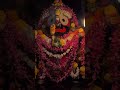 Jay Jagannath ⭕️‼️⭕️🙏🏻🪈🦚 #cuttack #love #bhubaneswara #viralmusic #shyam #puri #festival