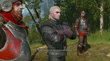 Witcher 3 Wild Hunt - A Basilisk That Looks Like A Wyvern | Random Encounters