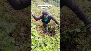 Hard Work Clearing the Farm! Just One Like Please? 🙏🌿 #Shorts