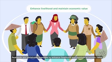 Sustainable Use of Peatland and Haze Mitigation in ASEAN