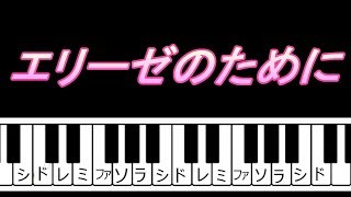 エリーゼのために　ベートーヴェン　右手メロディーピアノ　How to Play Piano （right hand）