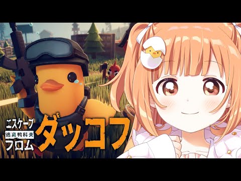 𓊆 エスケープ フロム ダッコフ 𓊇 アヒルかわいいたのしい!物資あつめて脱出だ!! 𓊆 雲母たまこ/にじさんじ 𓊇 video thumb