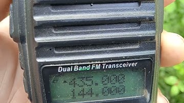 Тест эхо репитер (попугай)