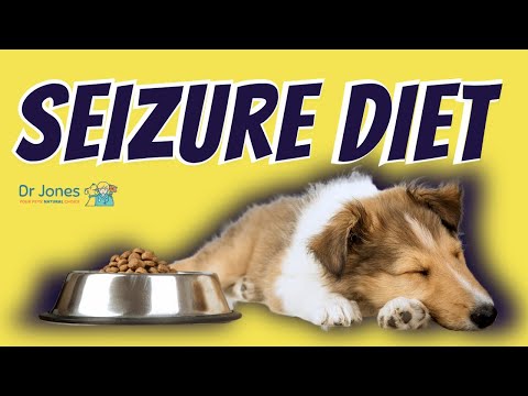Video: Epilepsie psů: přirozený přístup