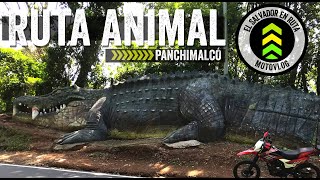 RUTA ANIMAL de PANCHIMALCO EL SALVADOR con ESCULTURAS GIGANTES
