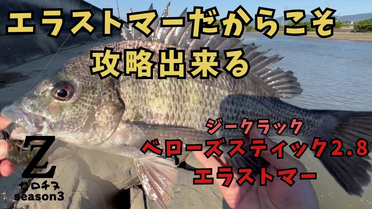 【チニング】ゼロチヌ　season3　使っていないのなら使うべきエラストマーワーム【チヌ】