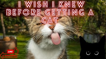 10 things I WISH I knew BEFORE Getting a CaT 🐈‍⬛