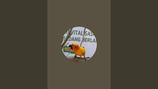 Didik K Wijaya Sedang Live Sekarang
