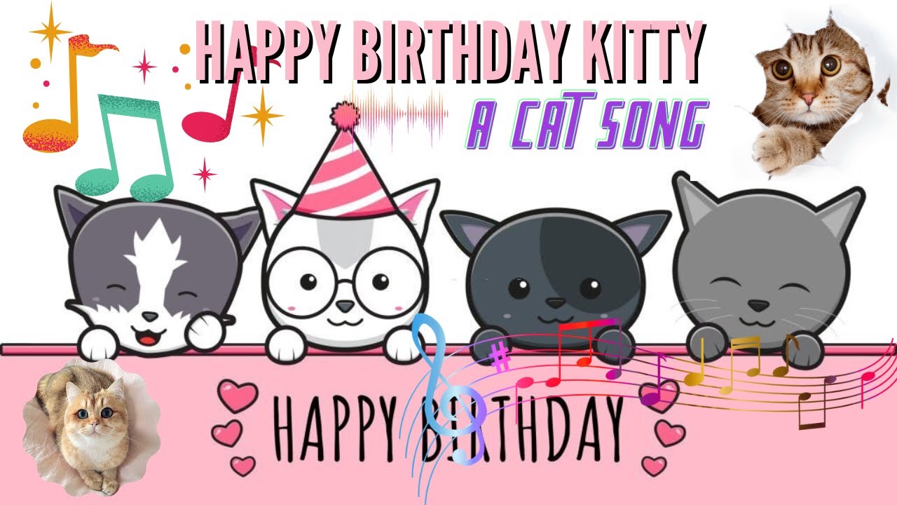 happy birthday my kitty | a birthday song for cat | MJM CREATIONS | # ...