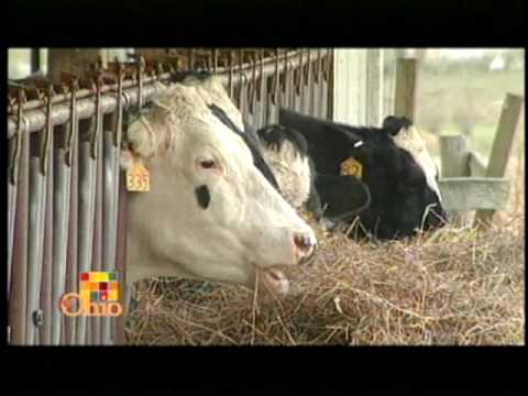 Doc Sanders: A Different Dairy - YouTube