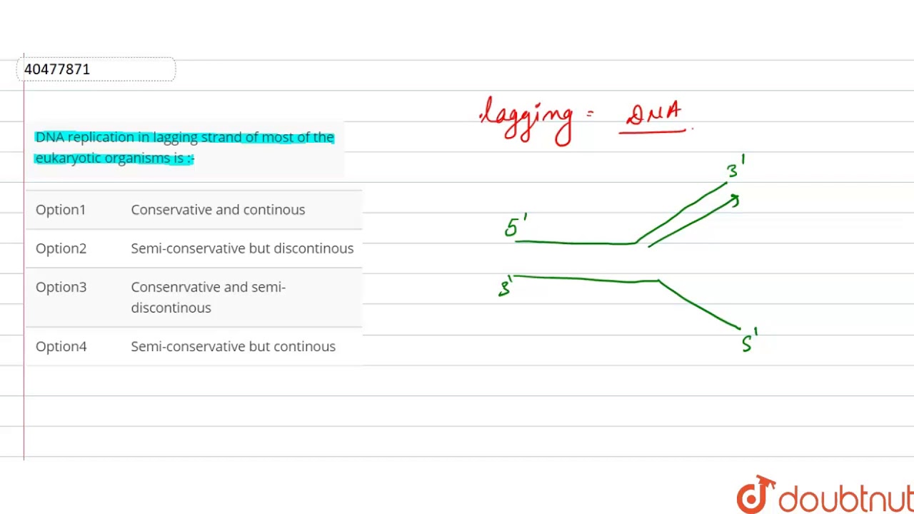 sections of copied dna created on the lagging strand sections of copied dna created on the lagging strand