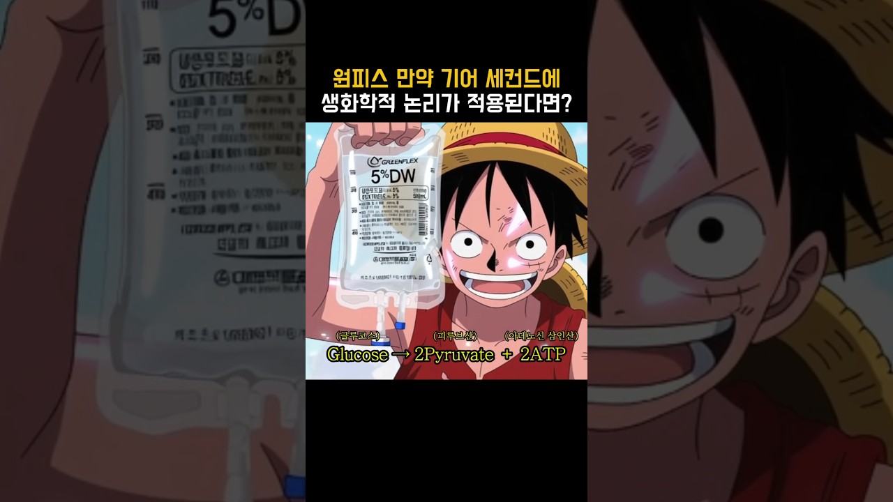 원피스) 만약 기어 세컨드에 생화학적 논리가 적용된다면?