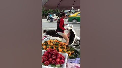 หนูขอไปด้วย