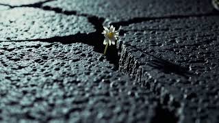 Kopuzkan - Sadece Işık Söndü 