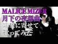 月下の夜想曲 MALICE MIZER 【Cover/歌ってみた】