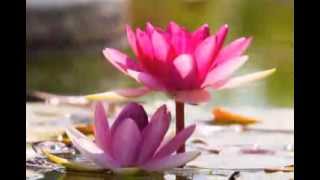 Two Minutes of Mindfulness, Practice 1