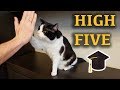 Lesson: "Give me high five"