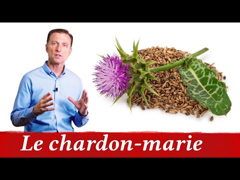 Vidéo: 12 Avantages Du Chardon-Marie + Sa Synergie Avec Le Glutathion