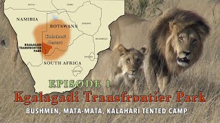 SOUTH AFRICA: KALAHARI👉🏼 Kgalagadi Transfrontier Park 👉🏼EPISODE 1