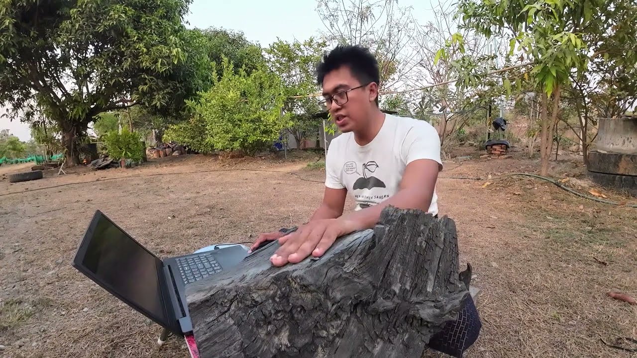 သိဒ္ဓိ၀င် ဂမ္ဘီရ ကျွန်းနက်အကြောင်း (Black Teak)