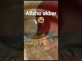 Allahu akbar jërëjëf serigne sam mbaye 😭😭