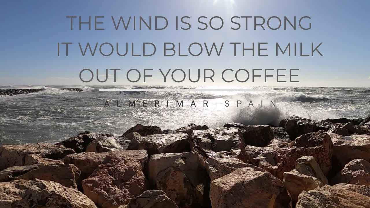 The wind was so strong, it could blow the milk out of your coffee [Ep 70] Sailing Salacia Star