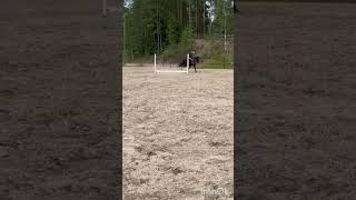Tällästä tänää😝 Ainakin mentiin yli kunnon ilmavaralla🙂‍↕️