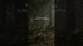 A Glimpse Into Druidry.