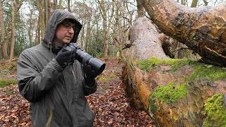 How to Photograph Patterns & Textures: Damp Woodland Photography(Canon EF 100mm F/2.8 Macro)