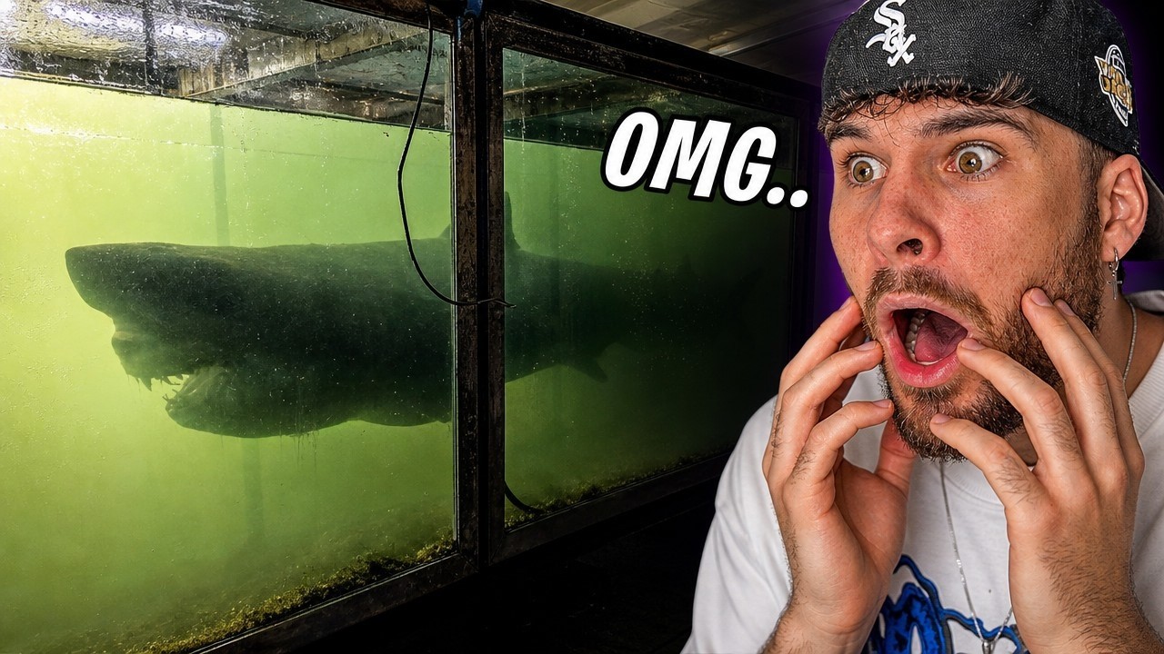 Latest Title & Thumbnail
