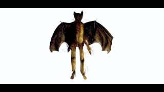 man bat animation test