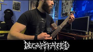 Decapitated- A View From A Hole | Guitar cover