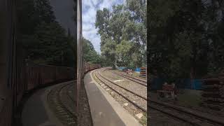 Toy train Kalka to Simla #train #railway #travel