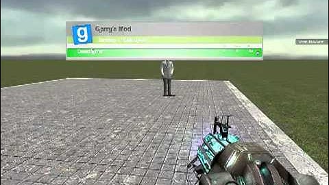 how to change name in garry