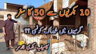 OutClass Modern Goat Farming Setup In Harrapa - Modern Goat Farming In Pakistan