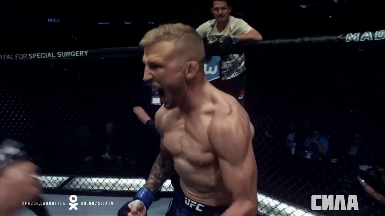 MMA VINE!ВЫПУСК#1