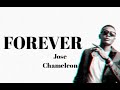 Forever - Jose Chameleon (Lyrics video) #lyrics  #josechameleon  #ugandanmusic2021