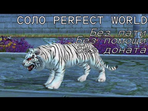 Видео: СОЛО ПВ # 2 / Соло Perfect World # 2