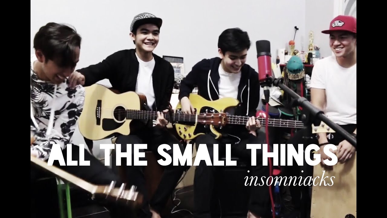 Insomniacks All The Small Things (cover) YouTube