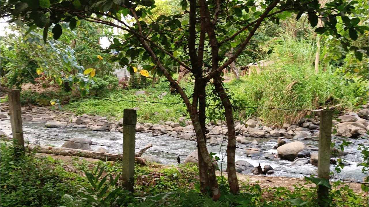 (P# 978) 3,050 sqms Farm Lot na tabi ng magandang ilog sa Liliw, Laguna for sale @ 5.5 Million