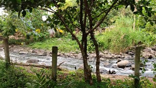 (P# 978) 3,172 sqms Farm Lot na tabi ng magandang ilog sa Liliw, Laguna for sale @ 5.5 Million