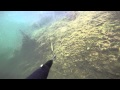 осенняя подводная охота в эстонии