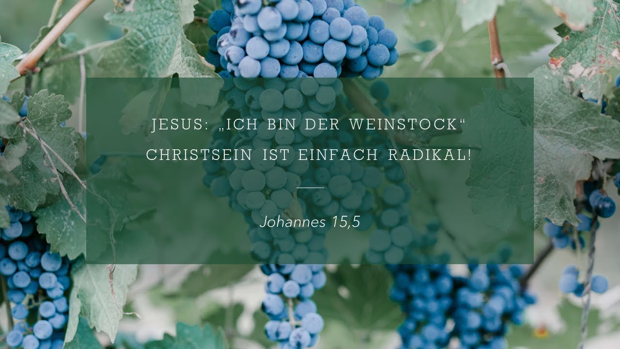 “Ich bin der Weinstock” Christsein ist einfach radikal! // Dr. Heinrich