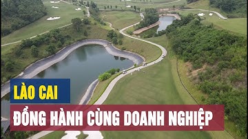 Đồng hành cùng doanh nghiệp phát triển | THLC
