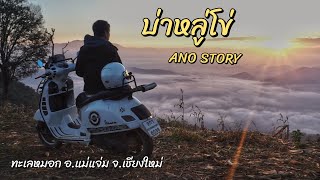 ทางไปทะเลหมอก บ่าหลู่โข่ อ แม่แจ่ม จ เชียงใหม่ VESPA TRIP ANOSTORY