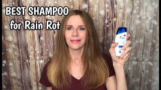 BEST HORSE SHAMPOO FOR RAIN ROT